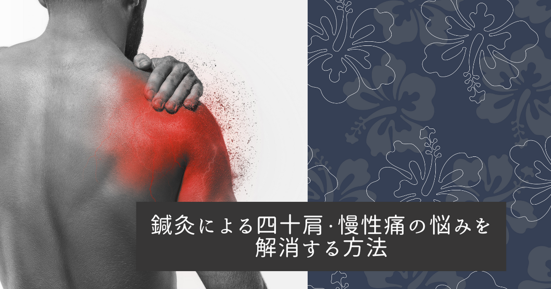 画像10244