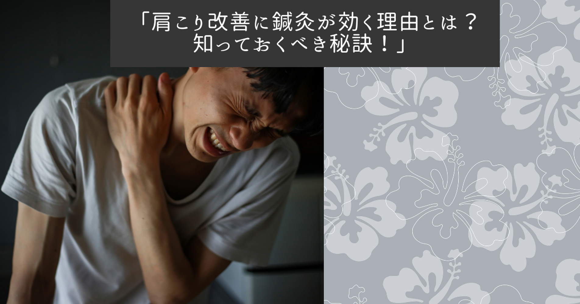 画像11299