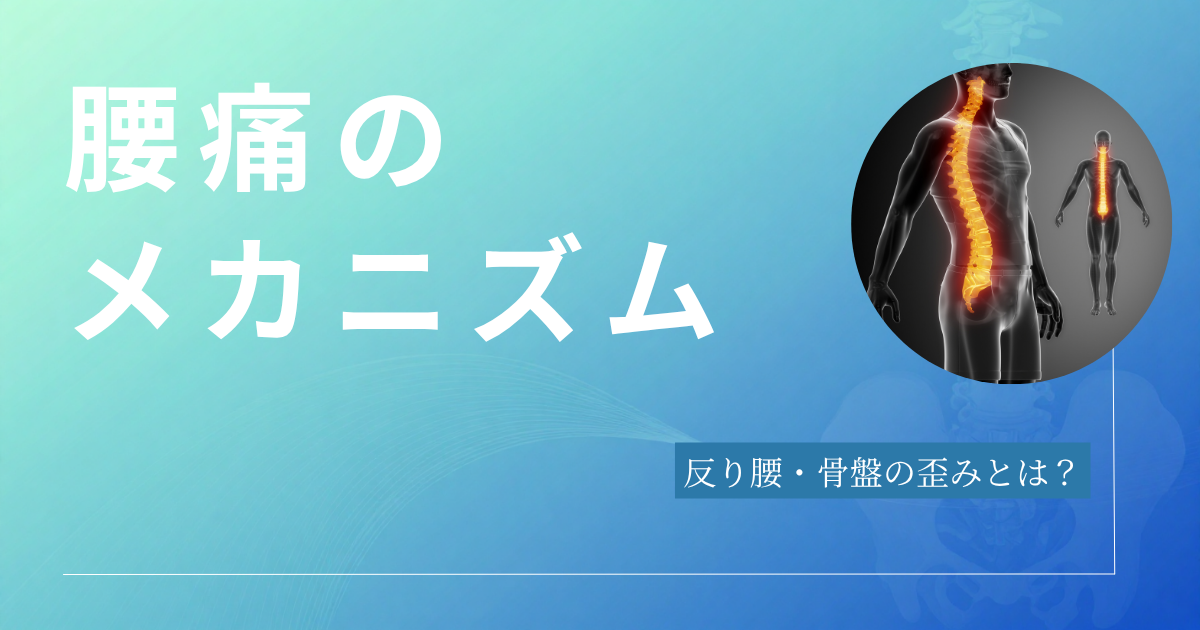 反り腰・骨盤の歪みからくる腰痛のメカニズム