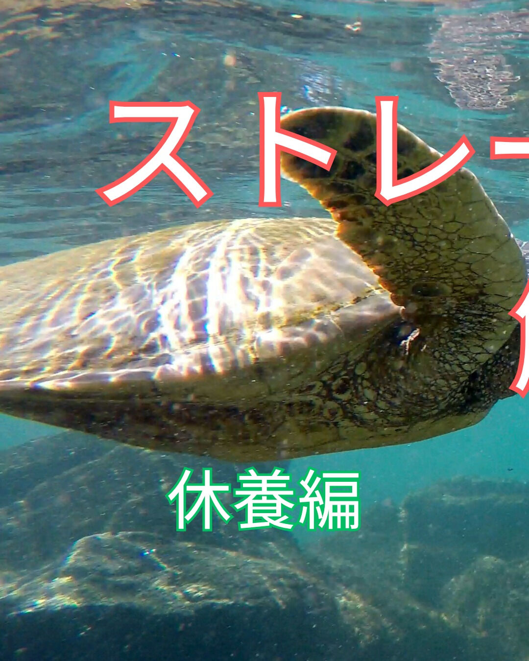 ストレートネックに悩む方におすすめの予防・解消法「休養編」を