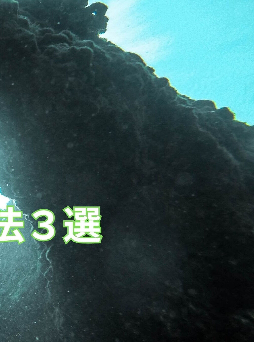 頚椎症の予防・解消に役立つ栄養素を紹介します🍽️