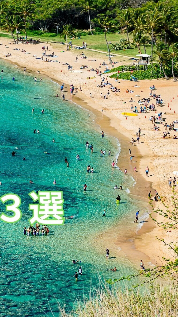 🍁【秋の頭痛を予防・解消する栄養3選】🍁