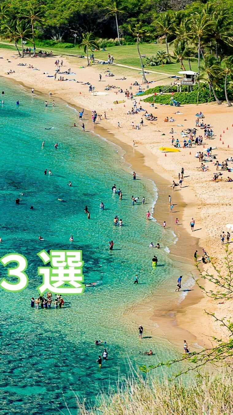 🍁【秋の頭痛を予防・解消する栄養3選】🍁