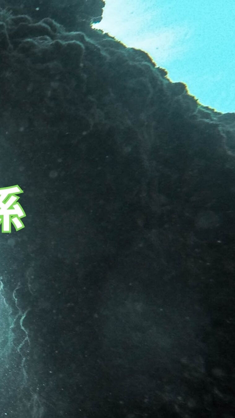 「内自律神経と姿勢の秘密を解明✨」
