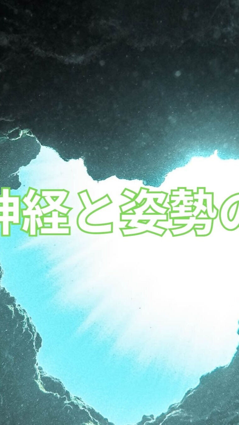 自律神経と姿勢の関係〜健康生活のヒント〜**