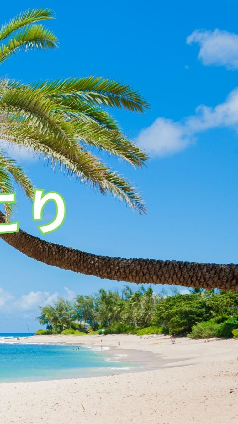 違いはここに！ストレートネックと肩こりの意外な解決策✨